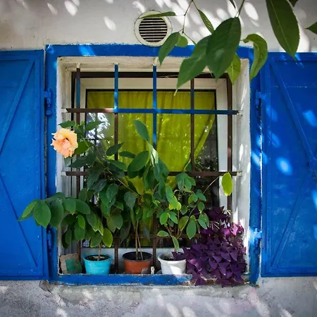 Apartment Transylvanian Hobbit House Cluj-Napoca